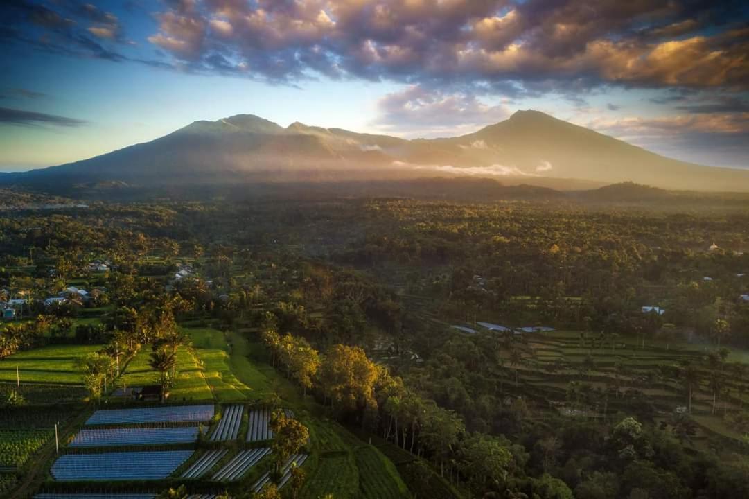 Tetebatu Mountain View Homestay Buitenkant foto