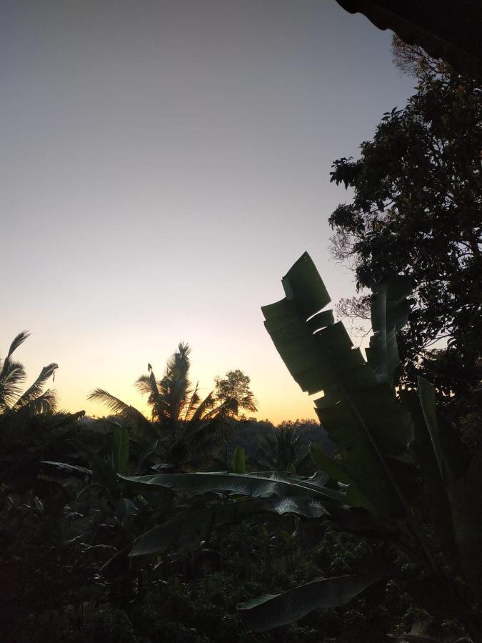 Tetebatu Mountain View Homestay Buitenkant foto