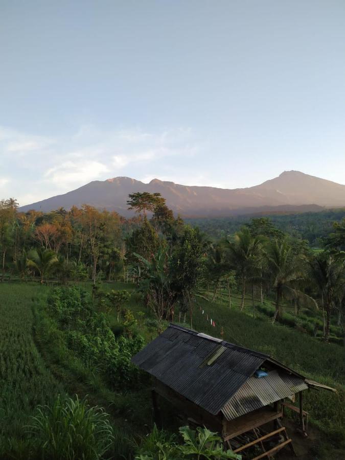 Tetebatu Mountain View Homestay Buitenkant foto