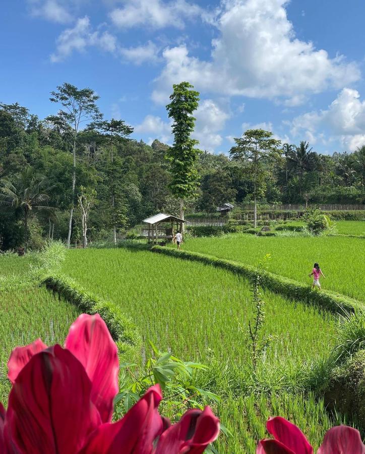 Tetebatu Mountain View Homestay Buitenkant foto