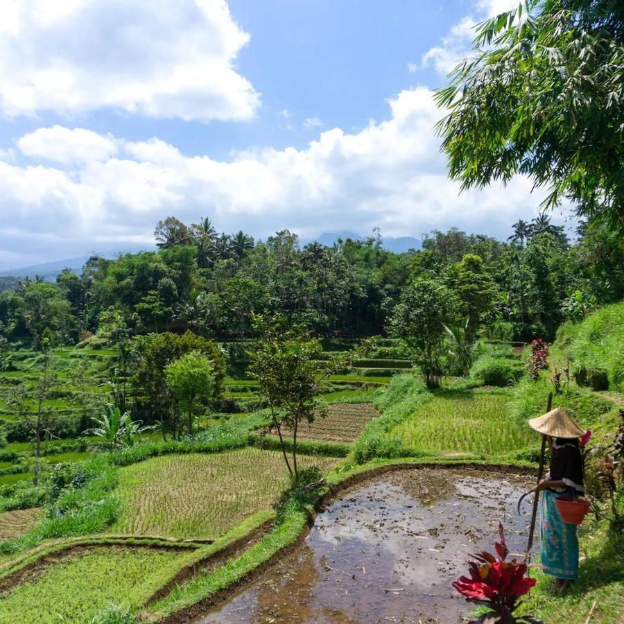 Tetebatu Mountain View Homestay Buitenkant foto