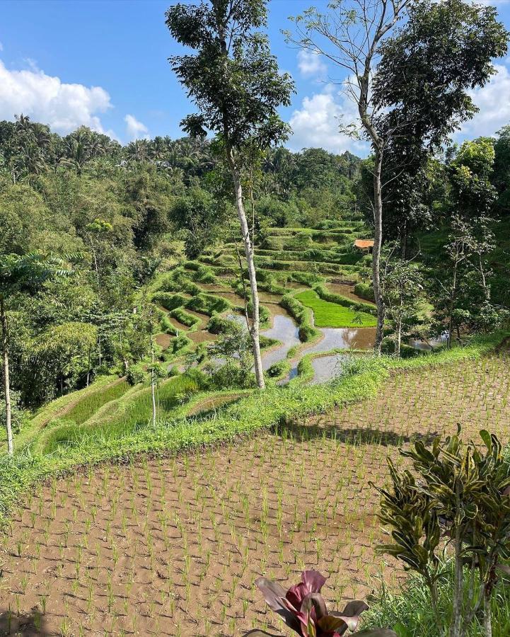 Tetebatu Mountain View Homestay Buitenkant foto