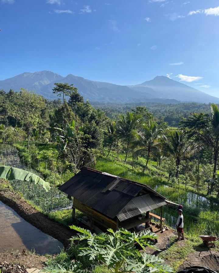 Tetebatu Mountain View Homestay Buitenkant foto