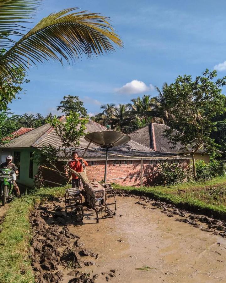 Tetebatu Mountain View Homestay Buitenkant foto