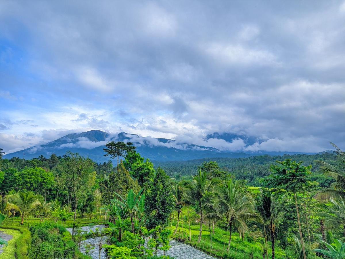 Tetebatu Mountain View Homestay Buitenkant foto