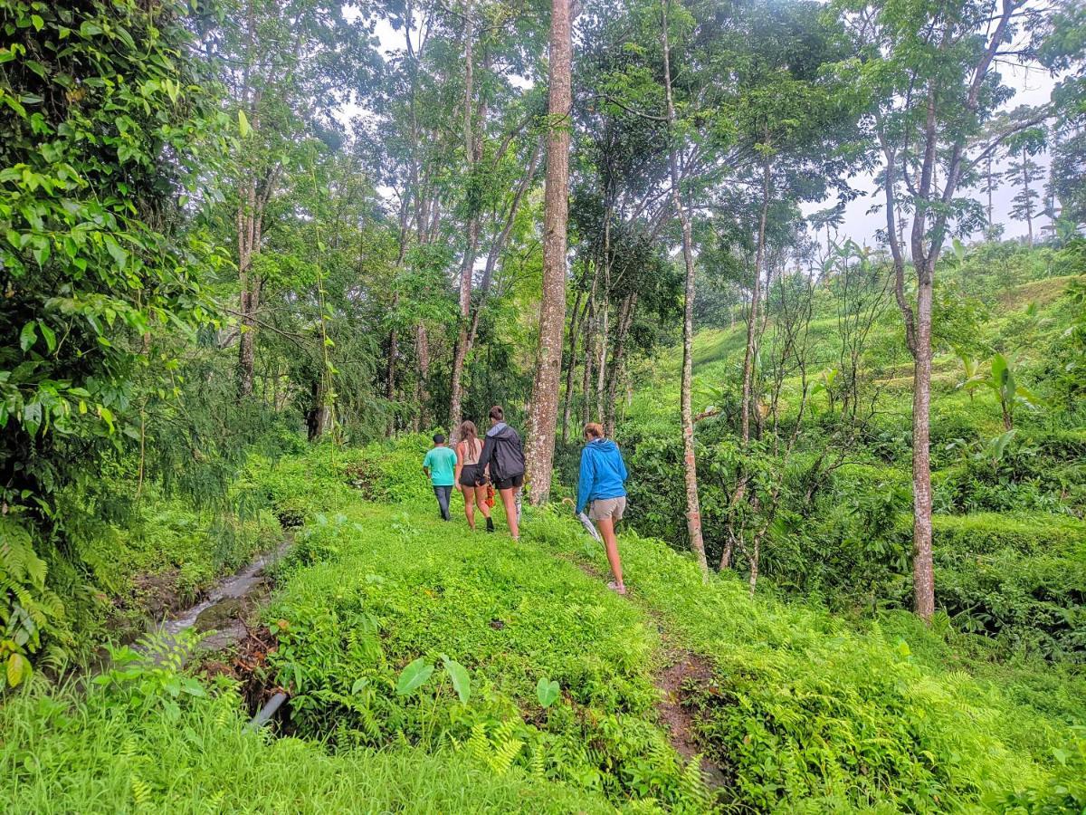 Tetebatu Mountain View Homestay Buitenkant foto