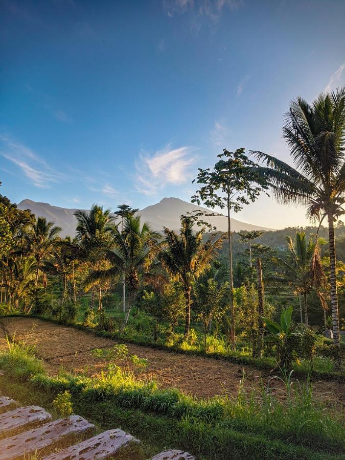 Tetebatu Mountain View Homestay Buitenkant foto