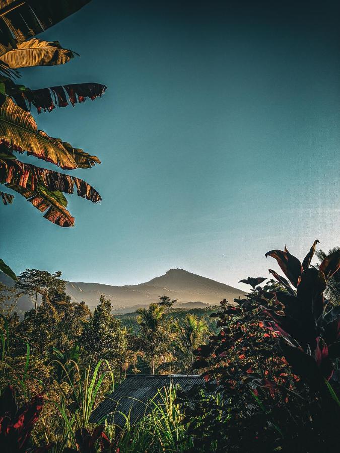 Tetebatu Mountain View Homestay Buitenkant foto