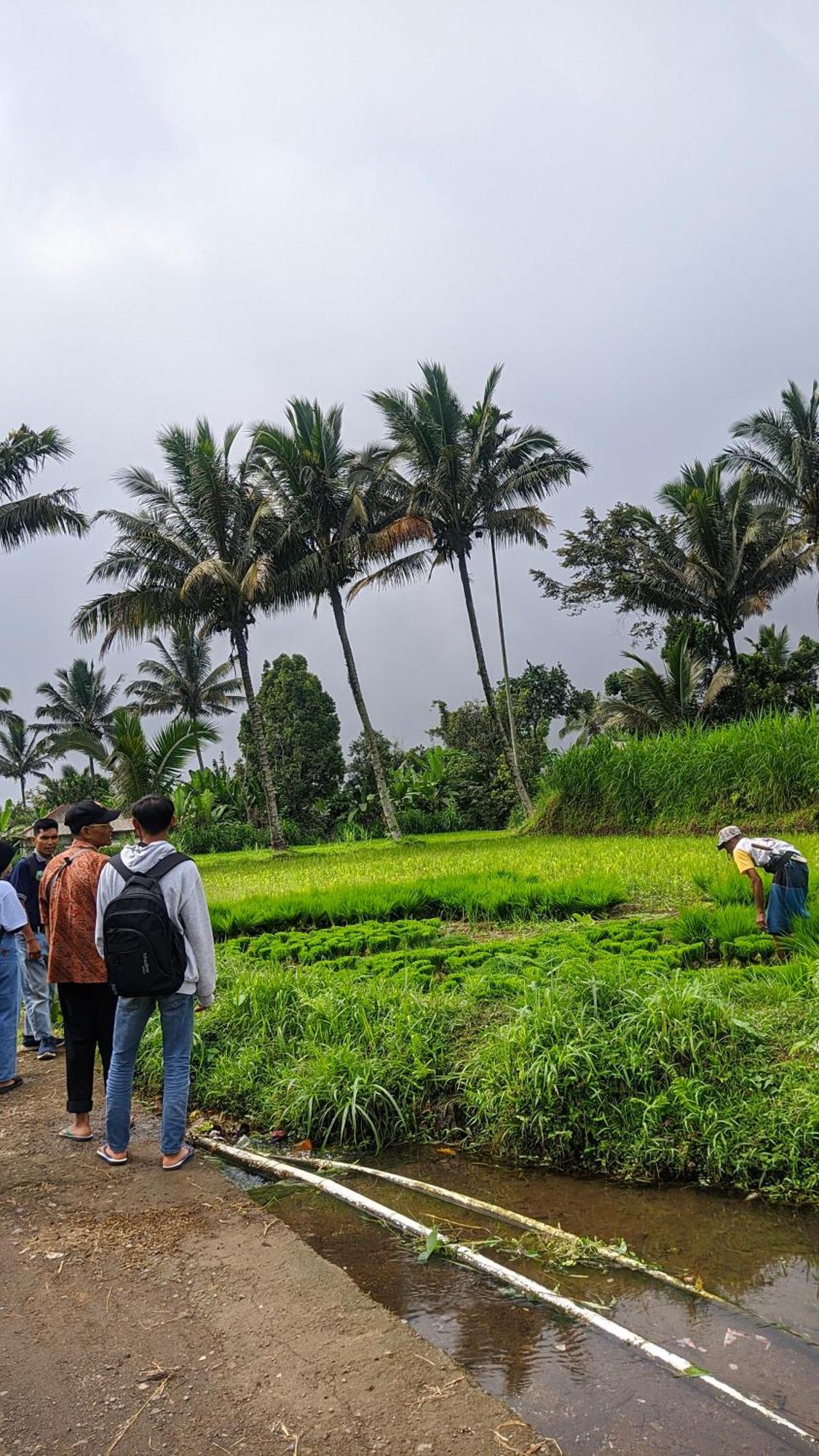 Tetebatu Mountain View Homestay Buitenkant foto
