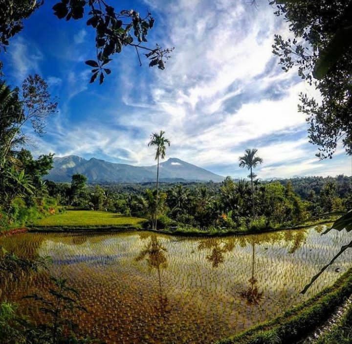 Tetebatu Mountain View Homestay Kamer foto