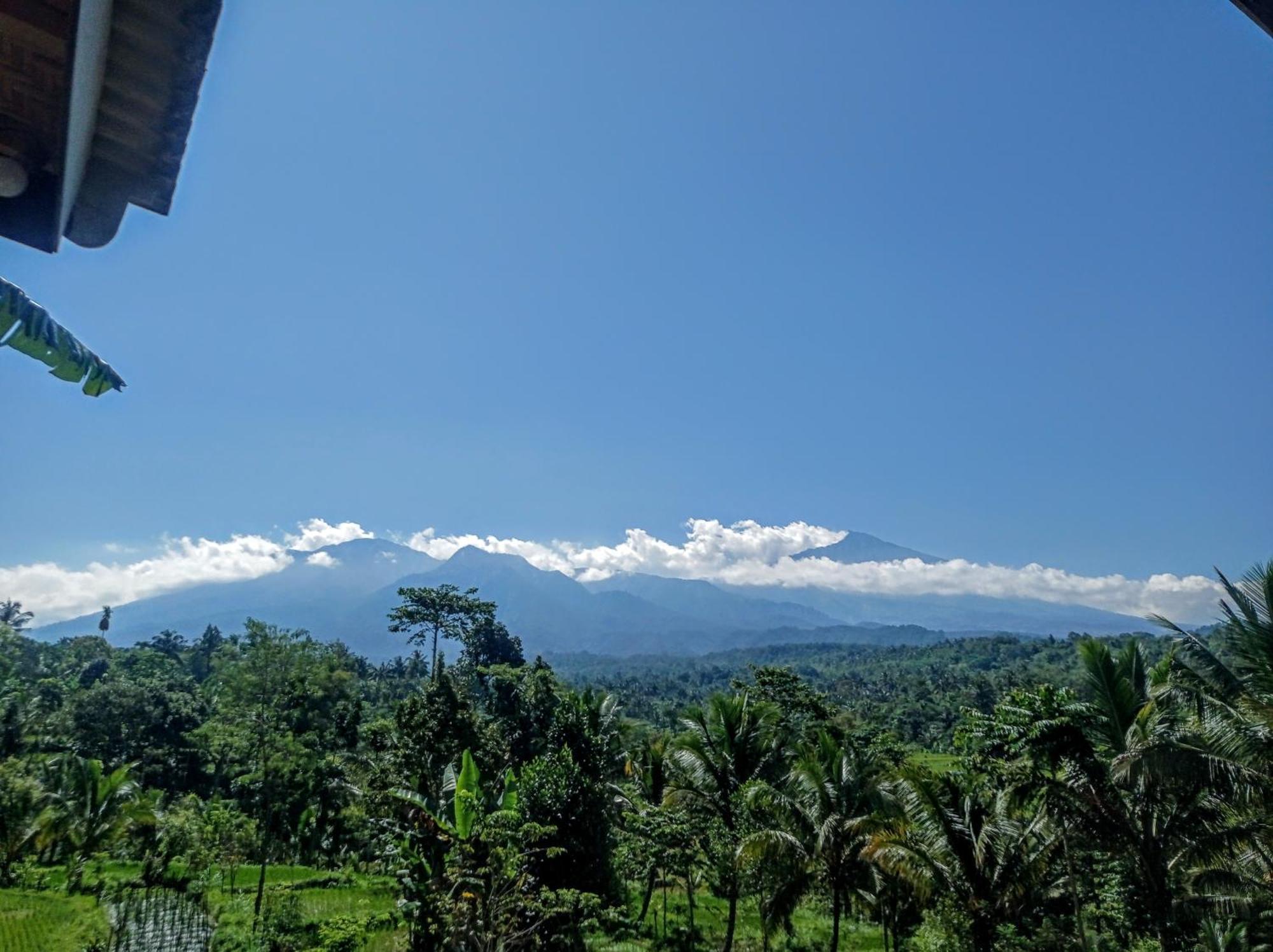 Tetebatu Mountain View Homestay Kamer foto