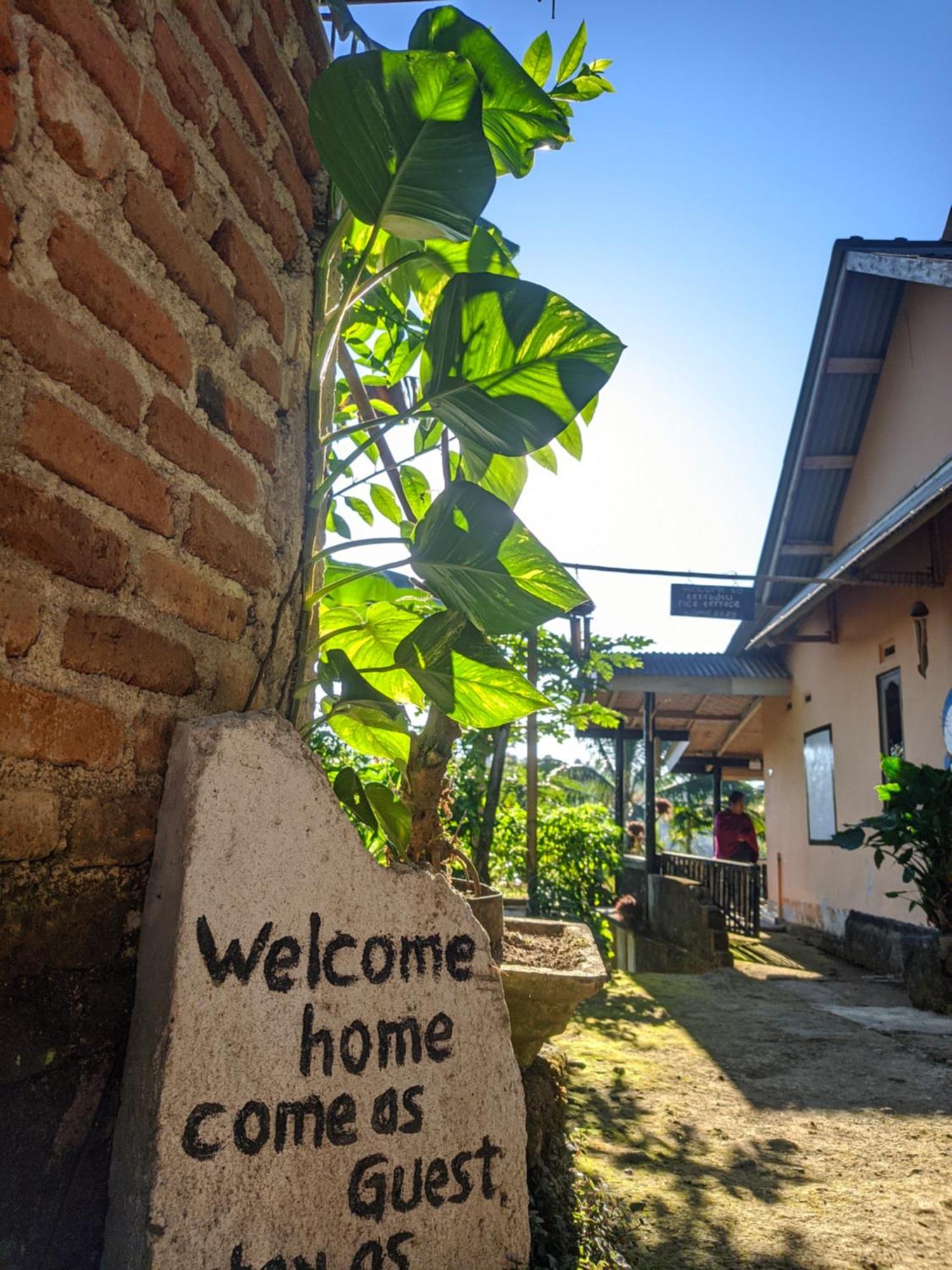 Tetebatu Mountain View Homestay Kamer foto